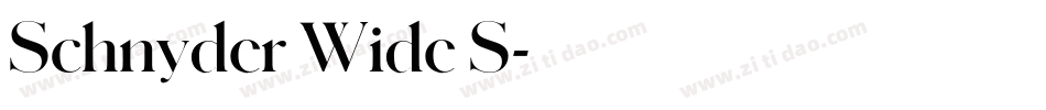 Schnyder Wide S字体转换